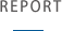 REPORT
